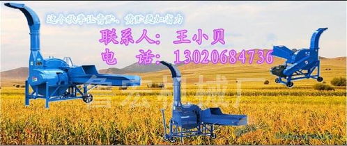 青貯與秸稈加工新利器 噴青貯揉搓機(jī)與大型鍘草機(jī)的應(yīng)用與飼料市場展望